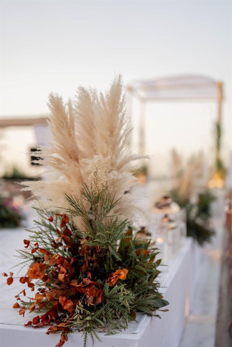 צילום: שלומי זנאתי