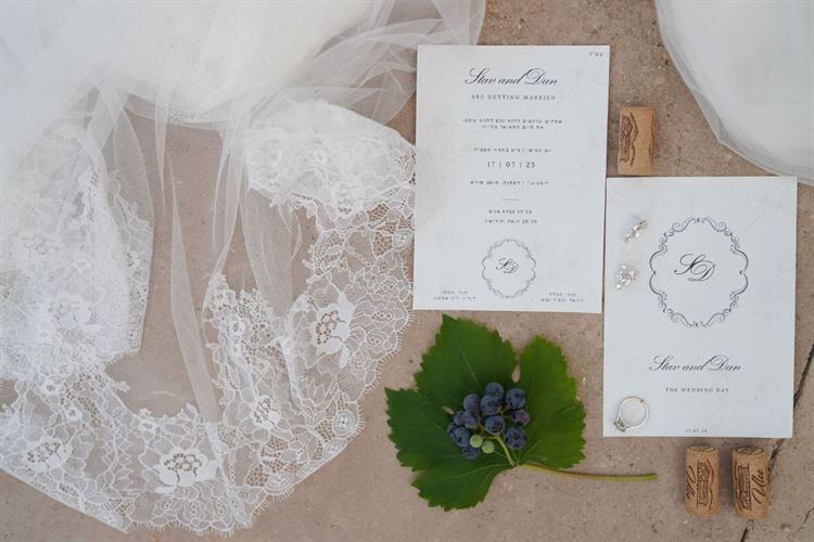 צילום: שלומי זנאתי