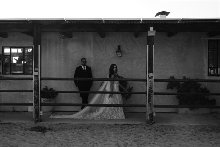 צילום: שלומי זנאתי