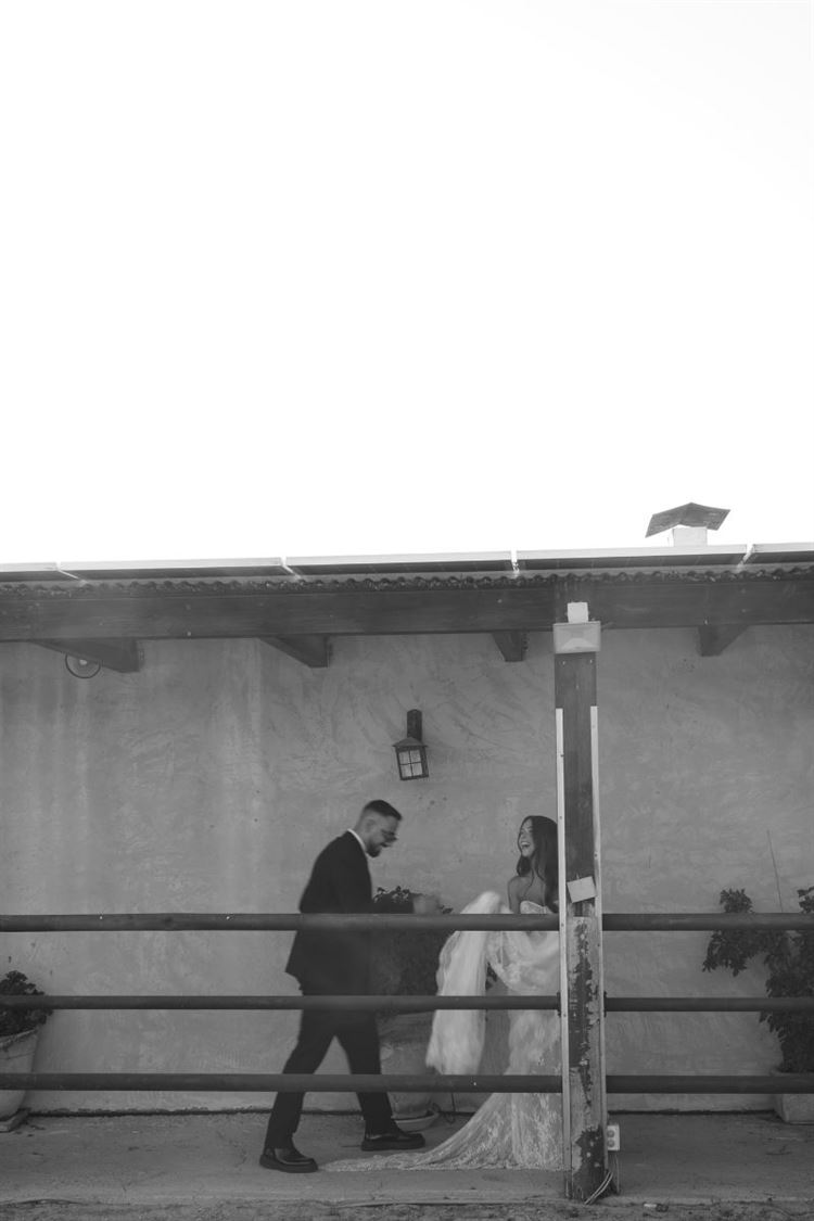 צילום: שלומי זנאתי