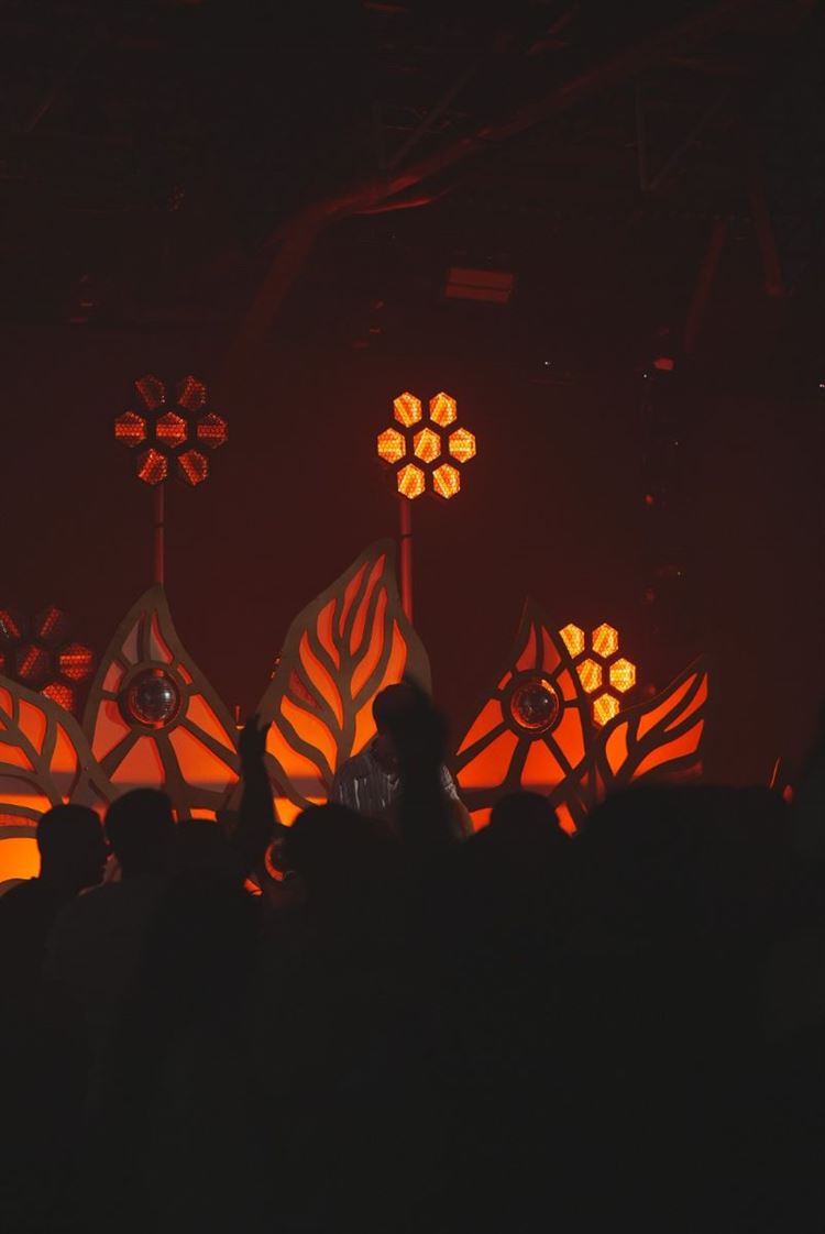 צילום: שלומי זנאתי