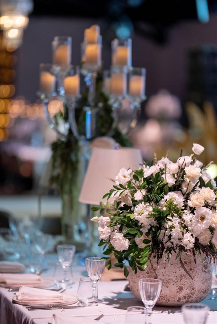 צילום: שלומי זנאתי