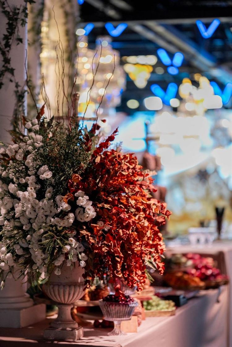 צילום: שלומי זנאתי