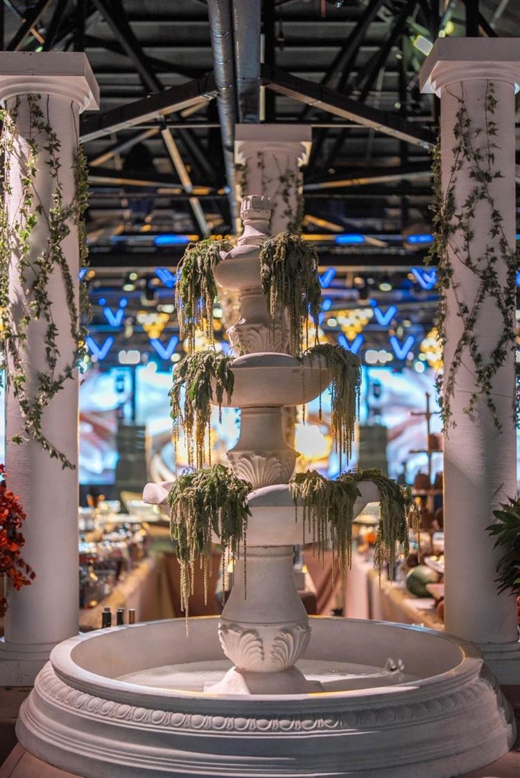 צילום: שלומי זנאתי