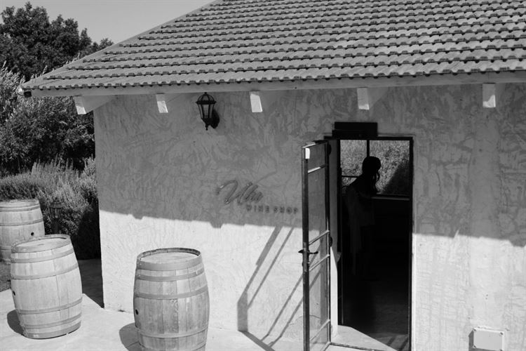 צילום: שלומי זנאתי