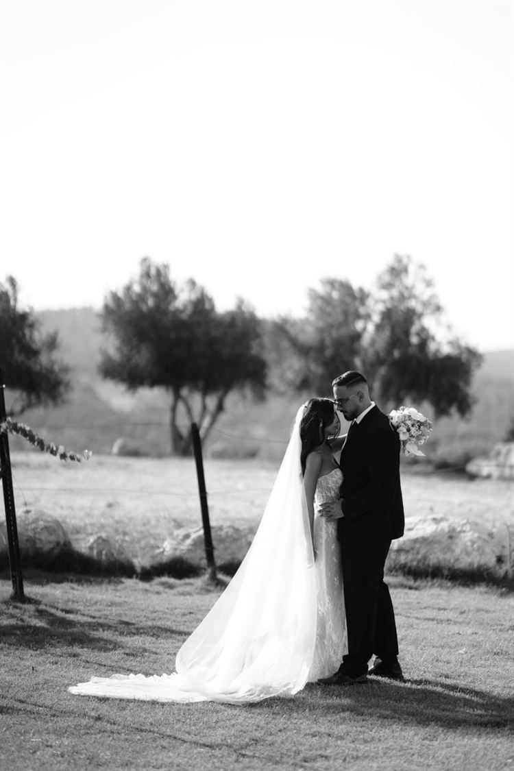 צילום: שלומי זנאתי