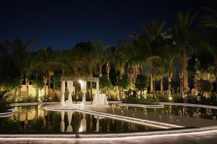 צילום: ליצ'י ארתור