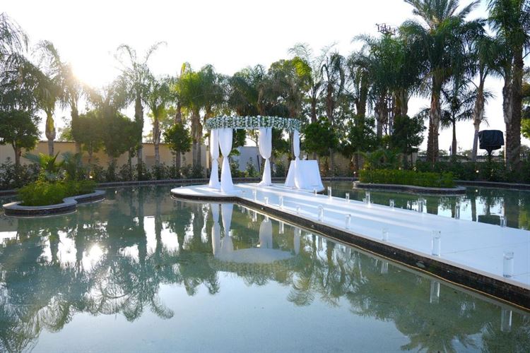 צילום: ליצ'י ארתור