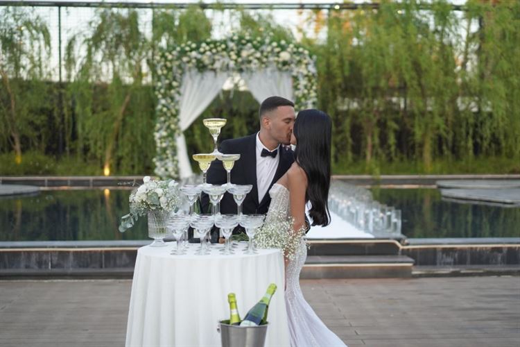 צילום: שי גואטה