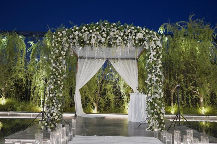 צילום: שי גואטה