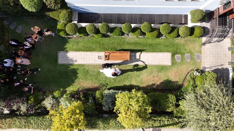 צילום: שי גואטה