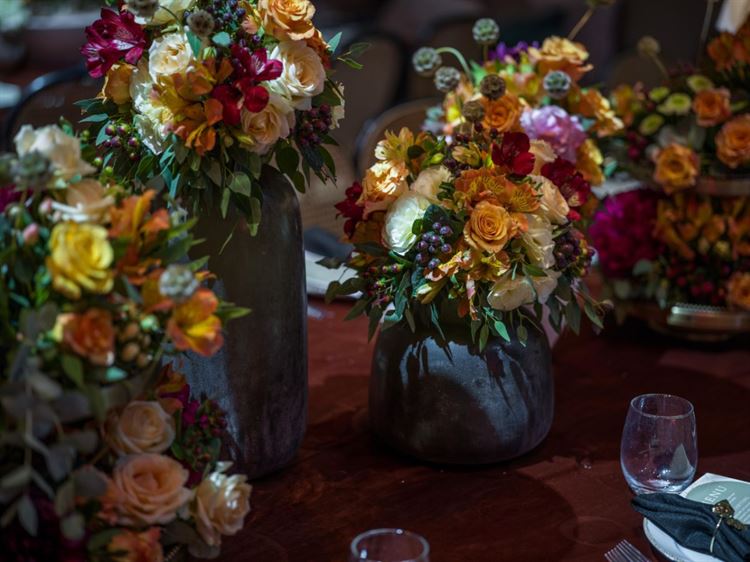 צילום:  דודו גבאי