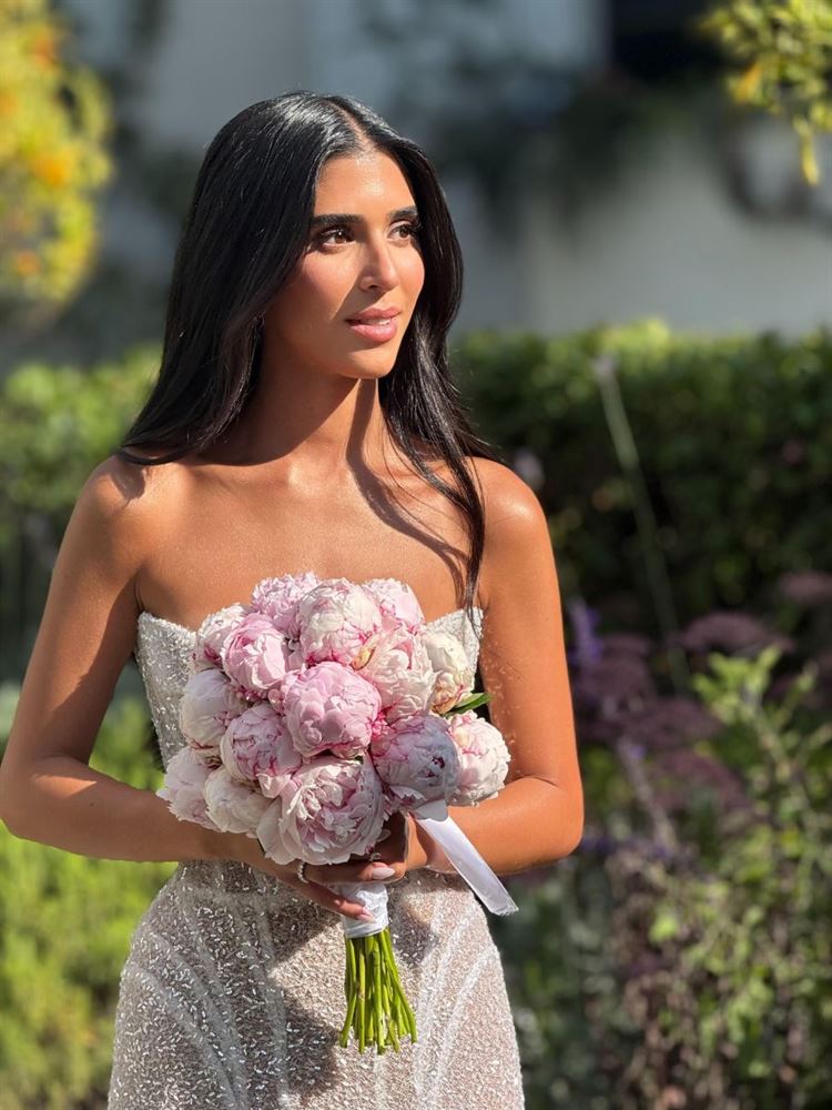 צילום: שי גואטה