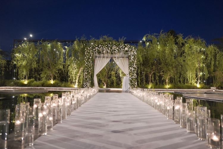 צילום: שי גואטה