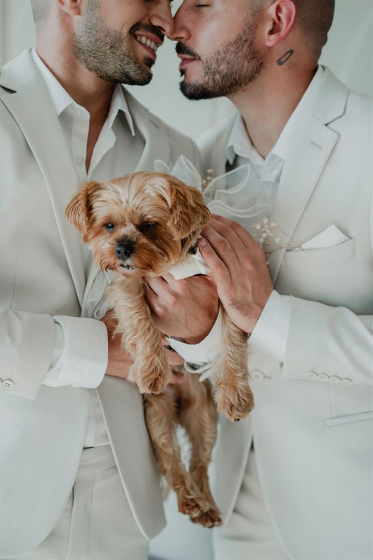 צילום: מאיה אמדו