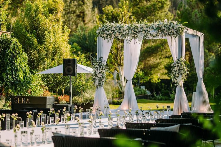 צילום: אלון אנקונינה