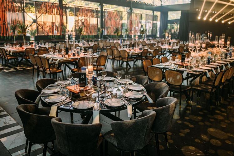 צילום: אלון אנקונינה