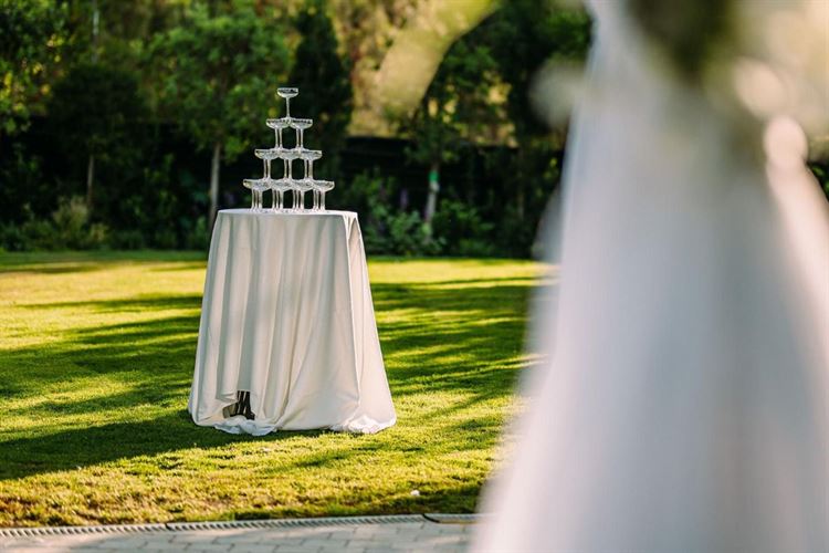 צילום: אלון אנקונינה