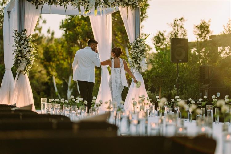 צילום: אלון אנקונינה