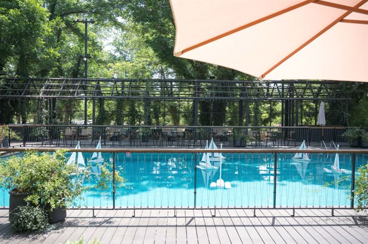 צילום: אלון גרובר