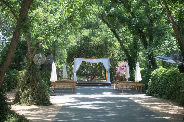 צילום: אלון גרובר