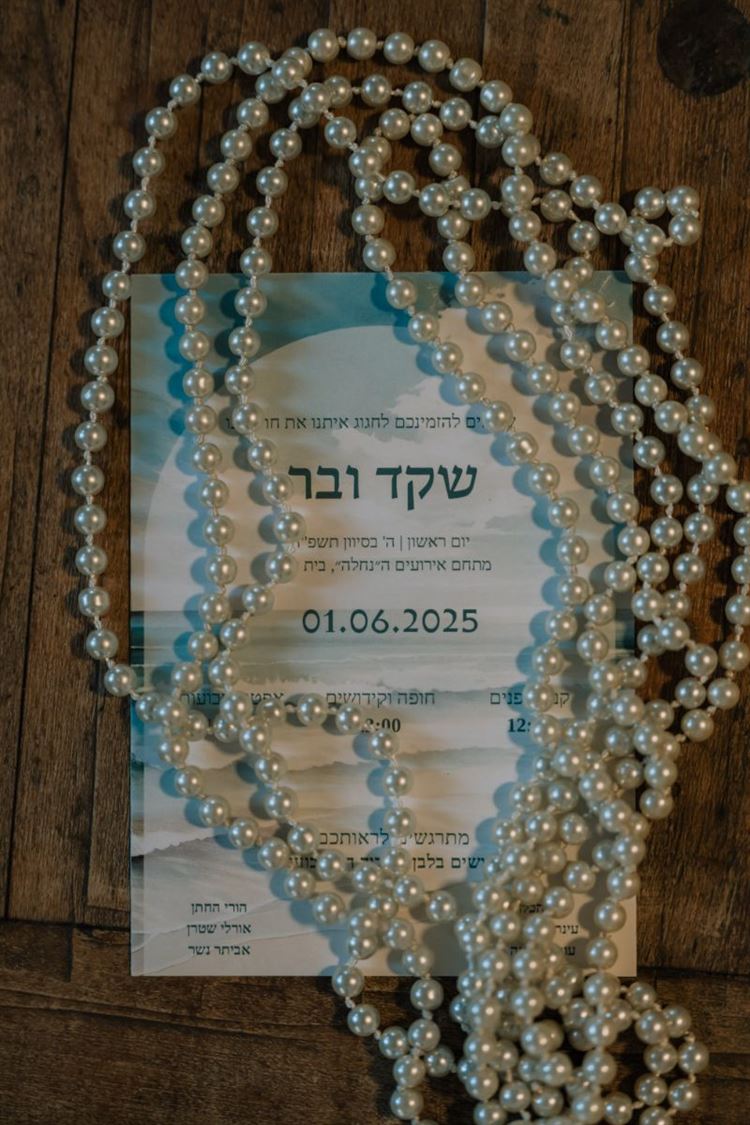 צילום: אלון גרובר