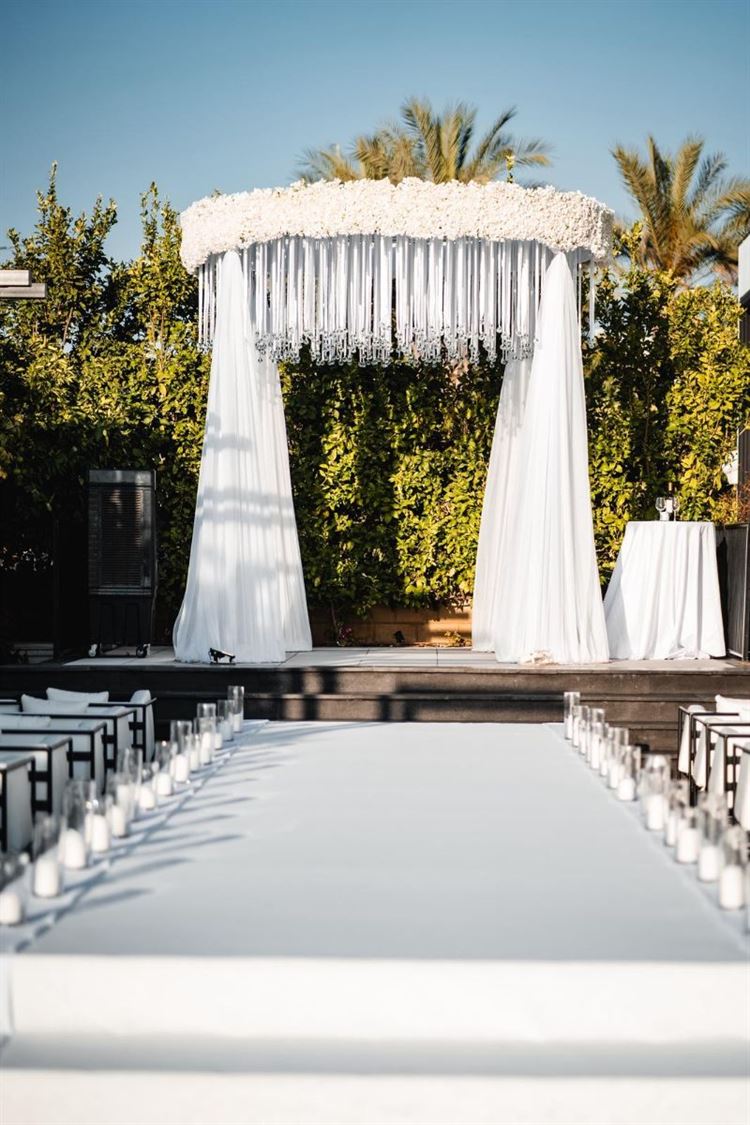 צילום: דוד דהן ורון שושן