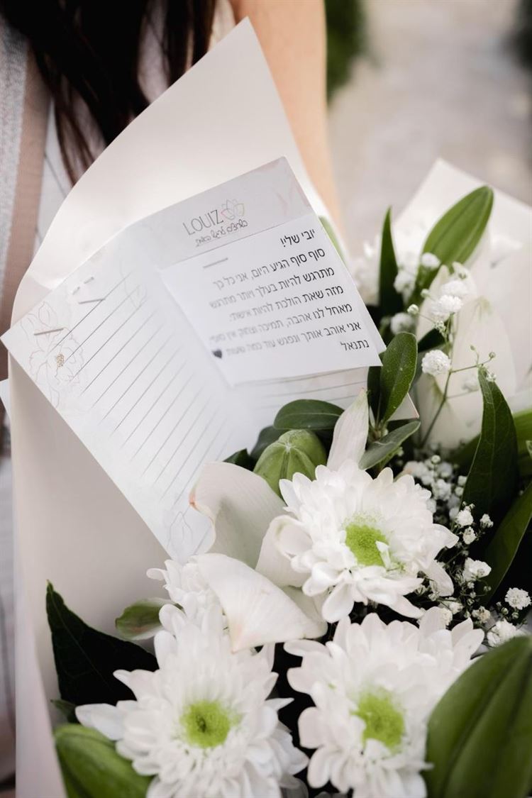 צילום: דוד דהן ורון שושן