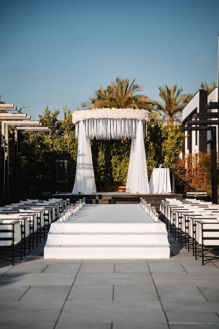 צילום: דוד דהן ורון שושן