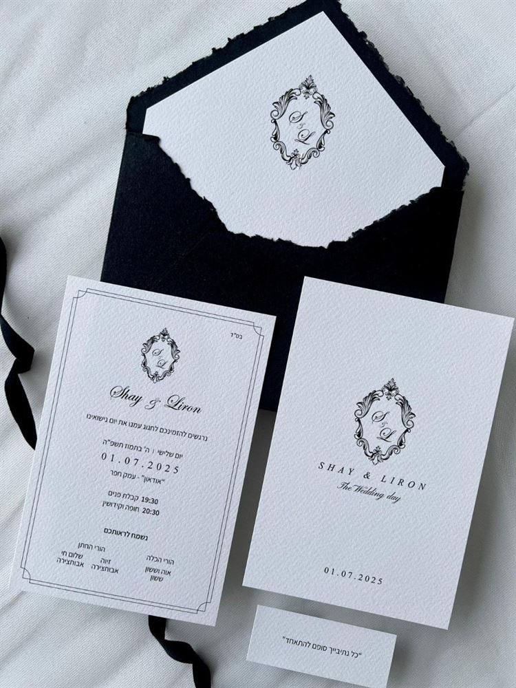 צילום: עידן חסון