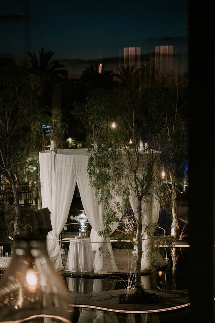 צילום: עידו סיטבון