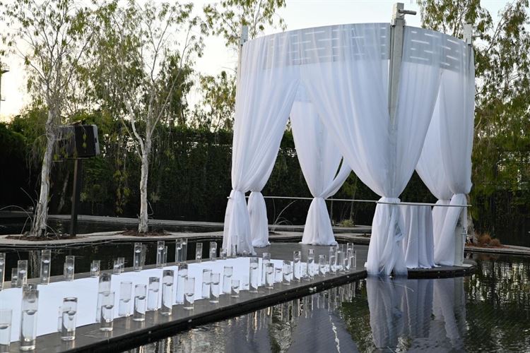 צילום: עידו סיטבון