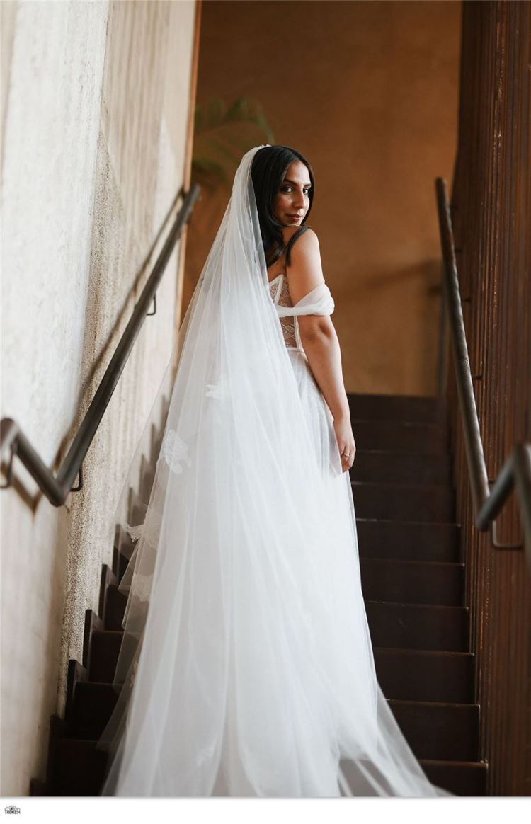 צילום: תמיר איתן