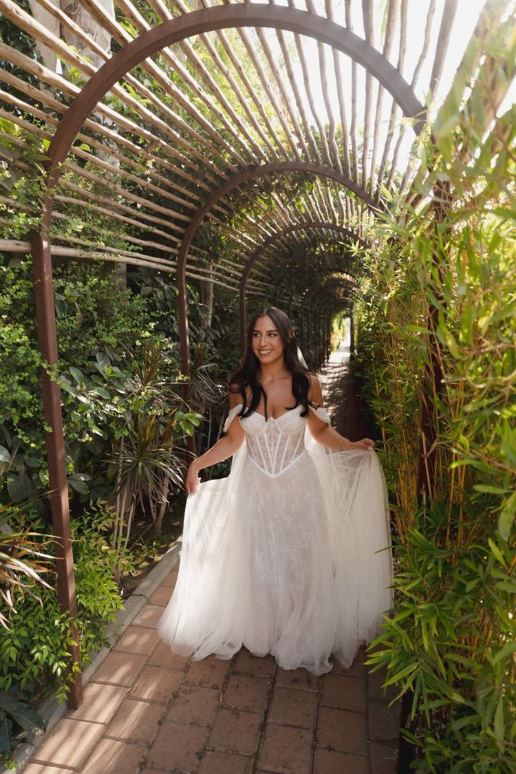 צילום: תמיר איתן