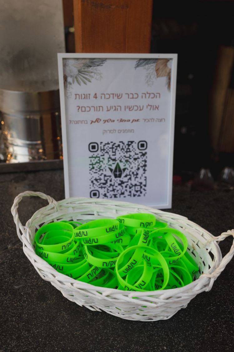 צילום: תמיר איתן