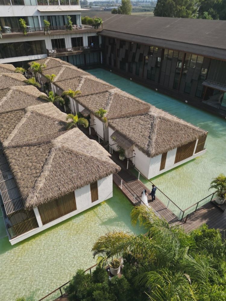 צילום: תמיר איתן