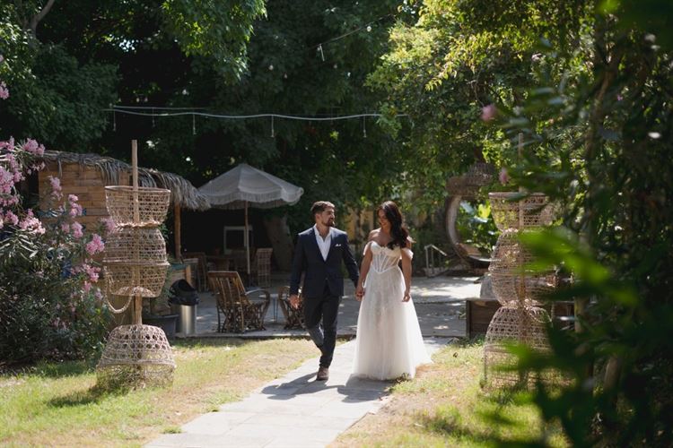 צילום: תמיר איתן