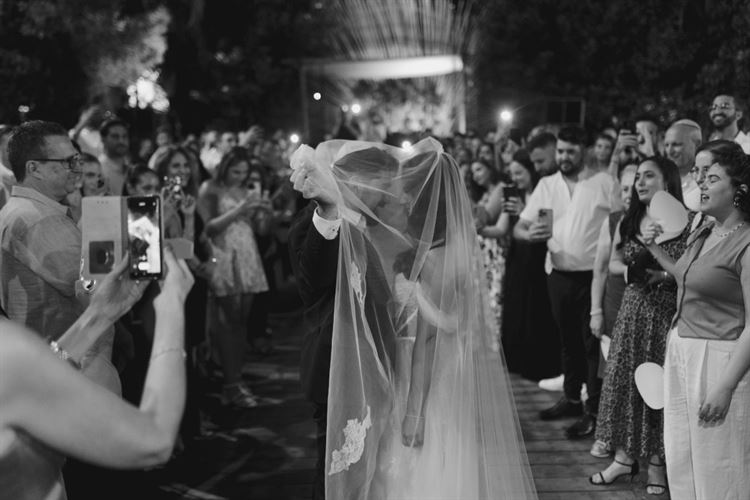 צילום: תמיר איתן