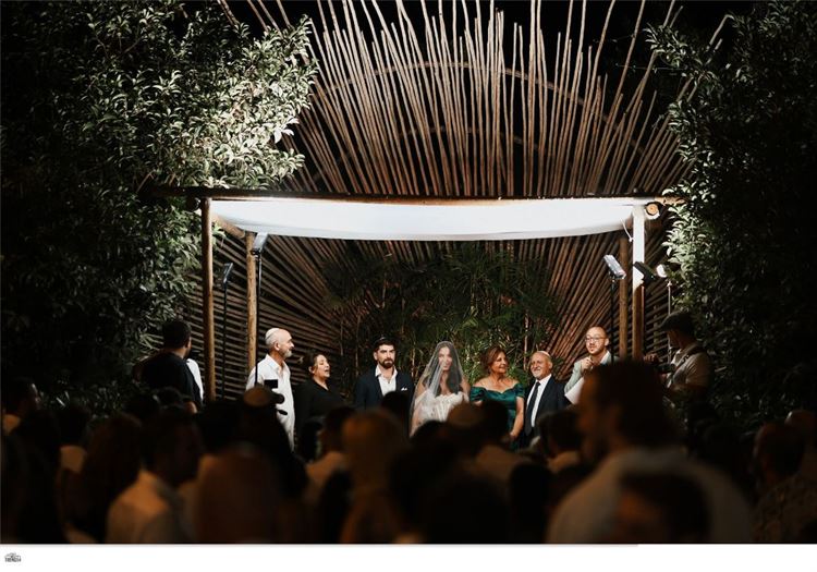 צילום: תמיר איתן