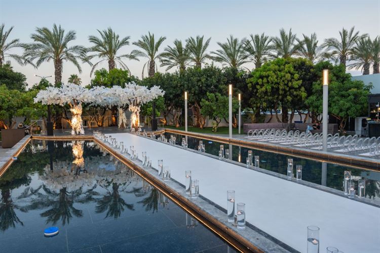 צילום: וואלה מזל טוב