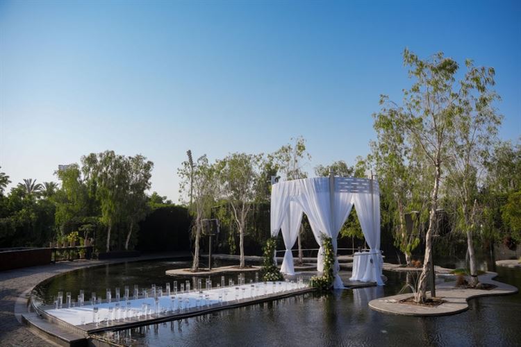 צילום: אורי חיון