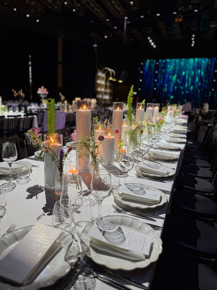 צילום: Sapir swisa