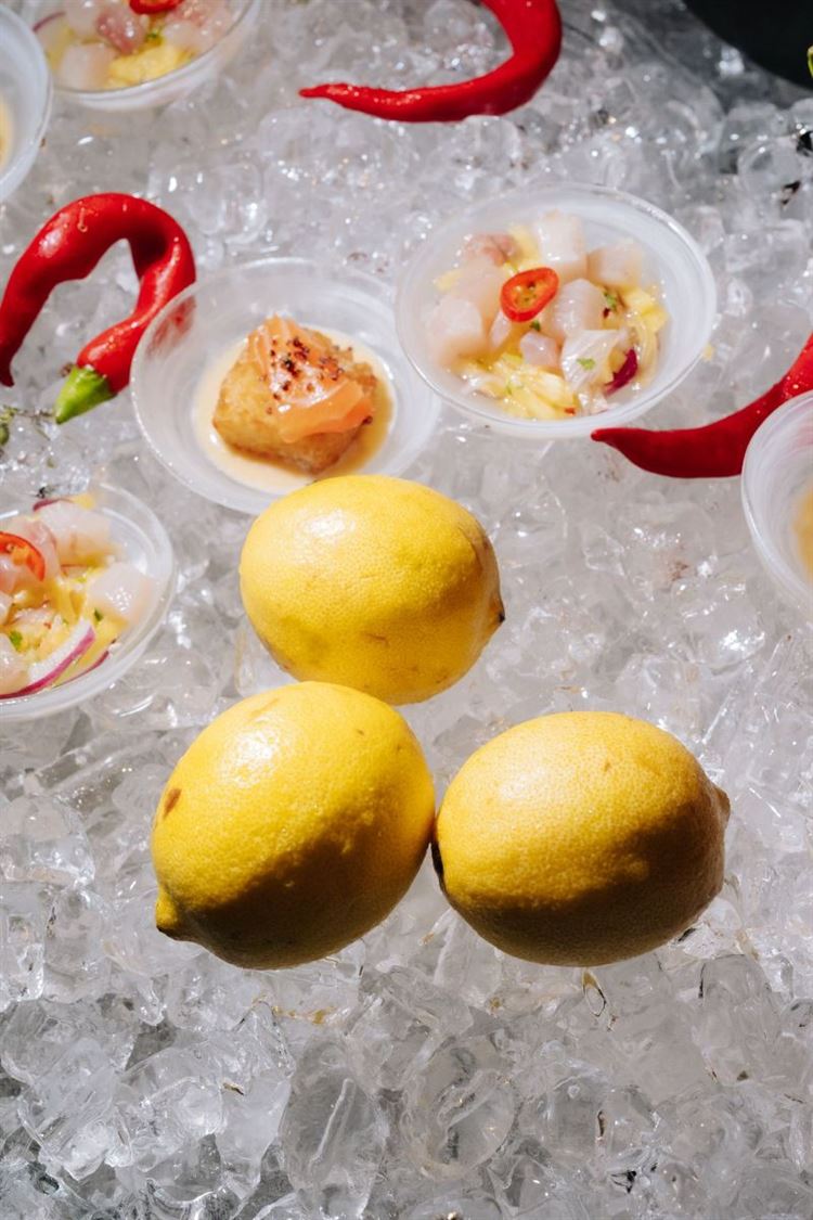 צילום: ווילוו רוטר