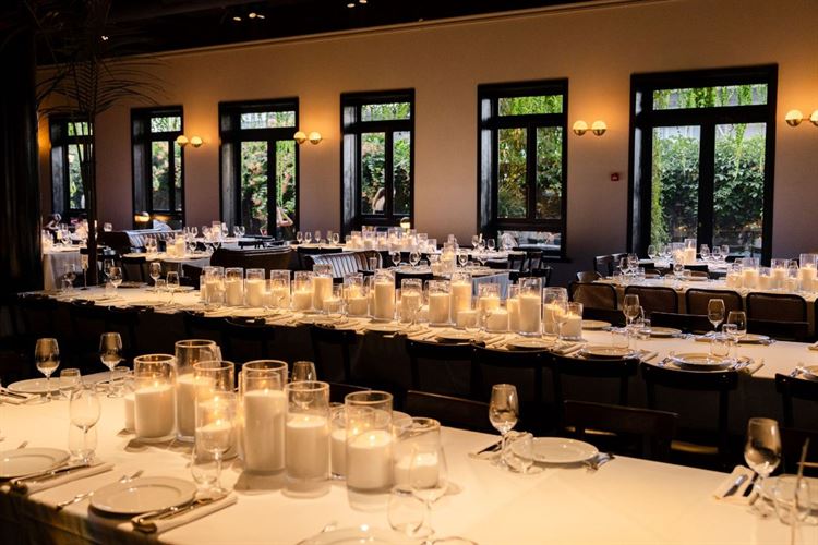 צילום: ווילוו רוטר