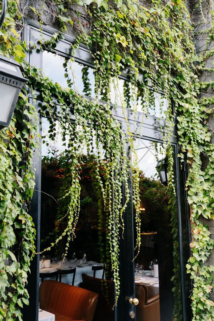 צילום: ווילוו רוטר