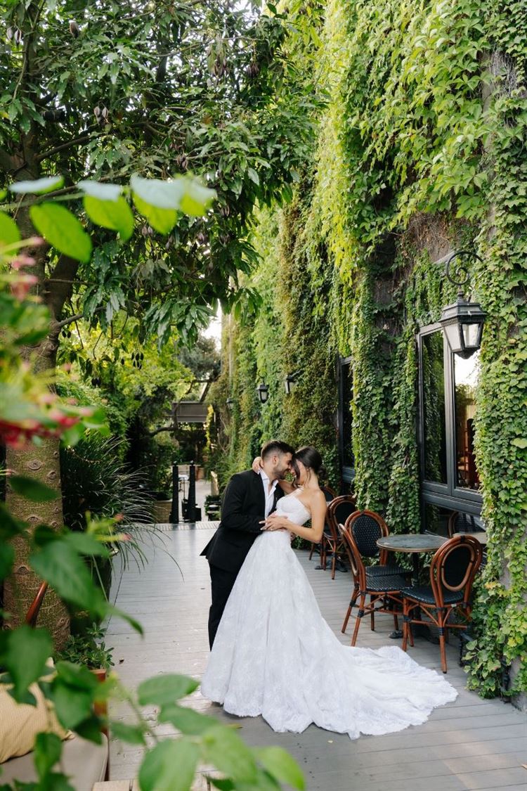 צילום: ווילוו רוטר