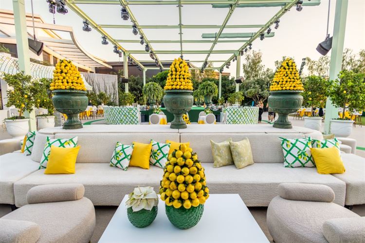 צילום: מרווין