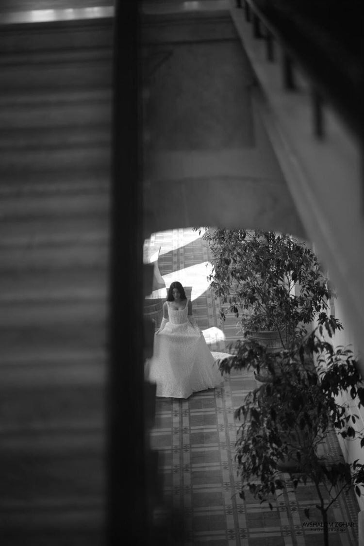 צילום: אבשלום זוהר