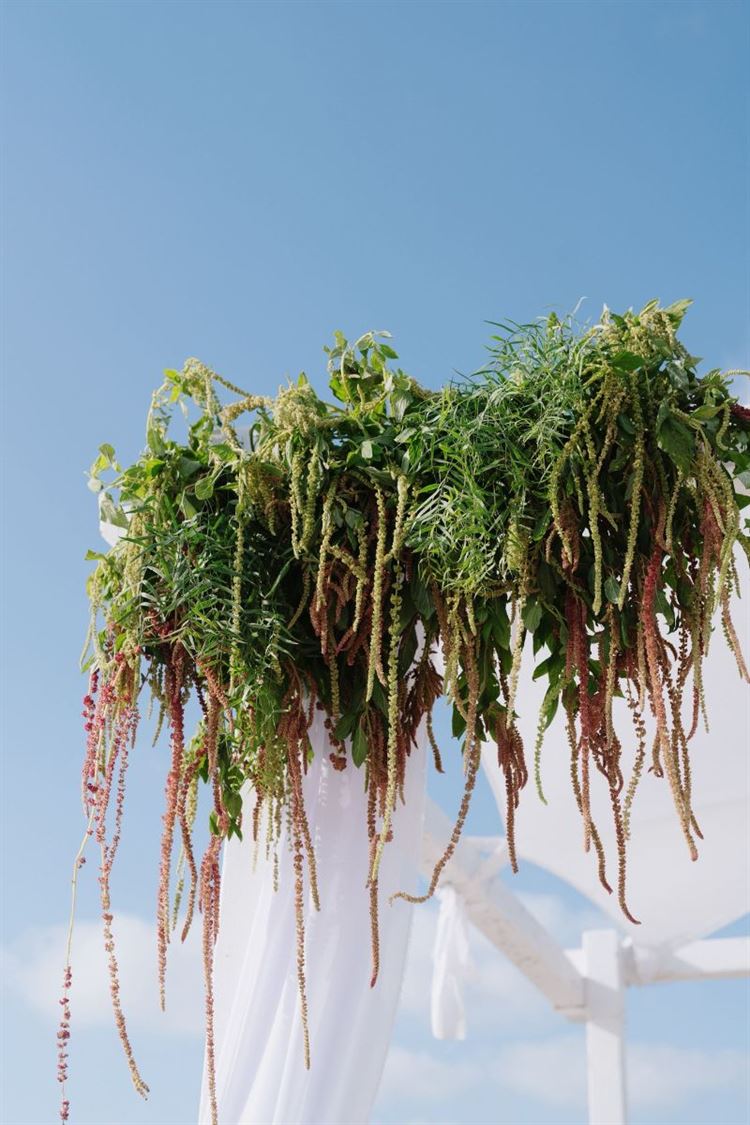 צילום: סשה וקייט בכיט (the bekhits photography)