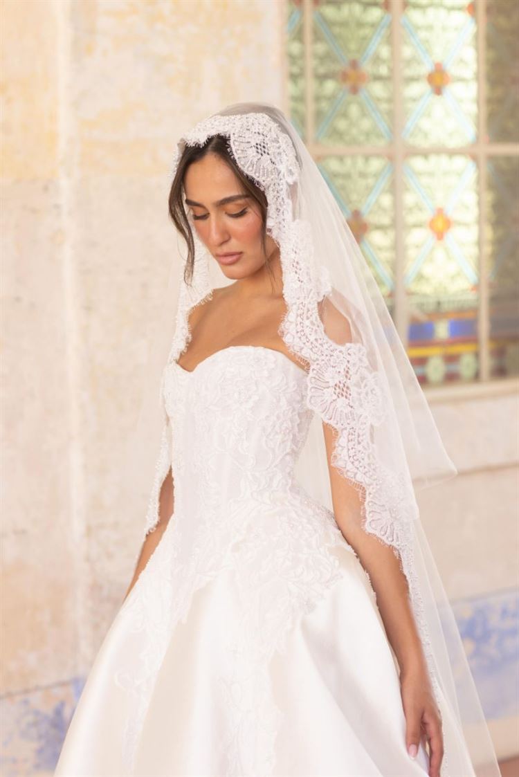 צילום: עידן חסון